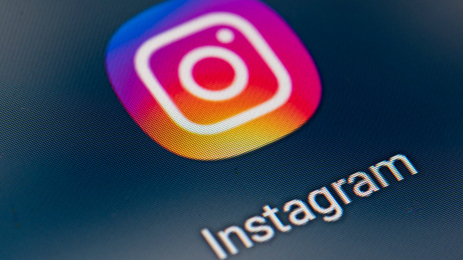 Instagram Algorithm Explained 2024 Insights SocialKiwi